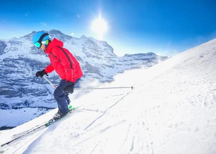 Apartament Allod Park Haus C 105 By Interhome